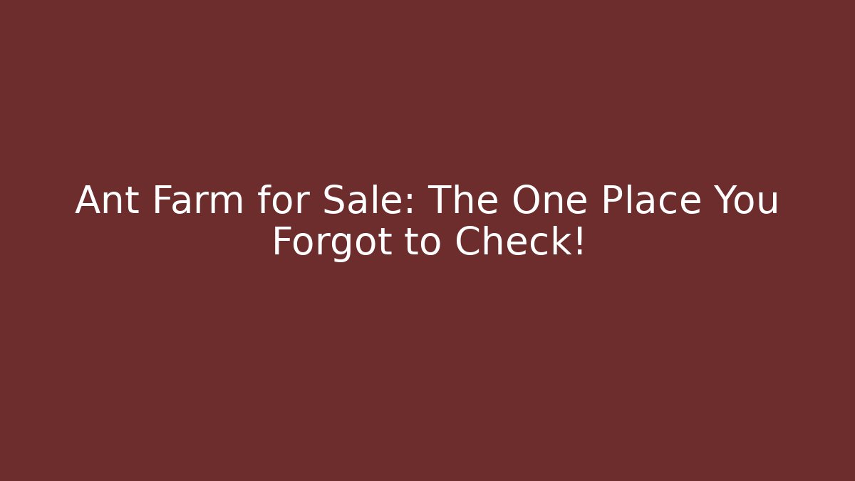 Ant Farm for Sale: The One Place You Forgot to Check!
