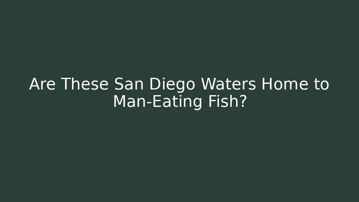 Are These San Diego Waters Home to Man-Eating Fish?