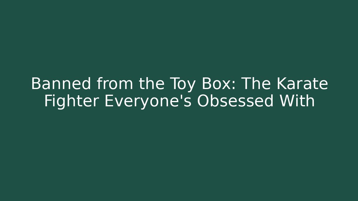 Banned from the Toy Box: The Karate Fighter Everyone's Obsessed With