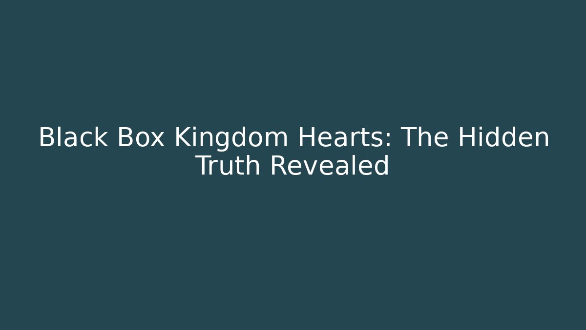 Black Box Kingdom Hearts: The Hidden Truth Revealed