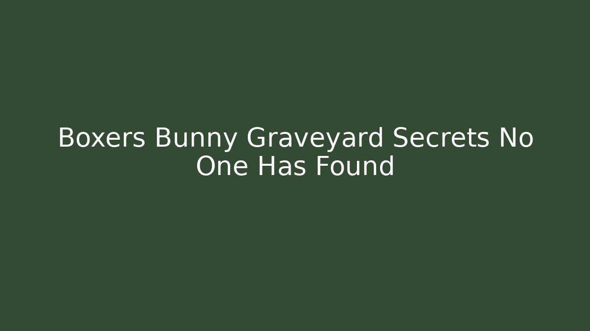 Boxers Bunny Graveyard Secrets No One Has Found