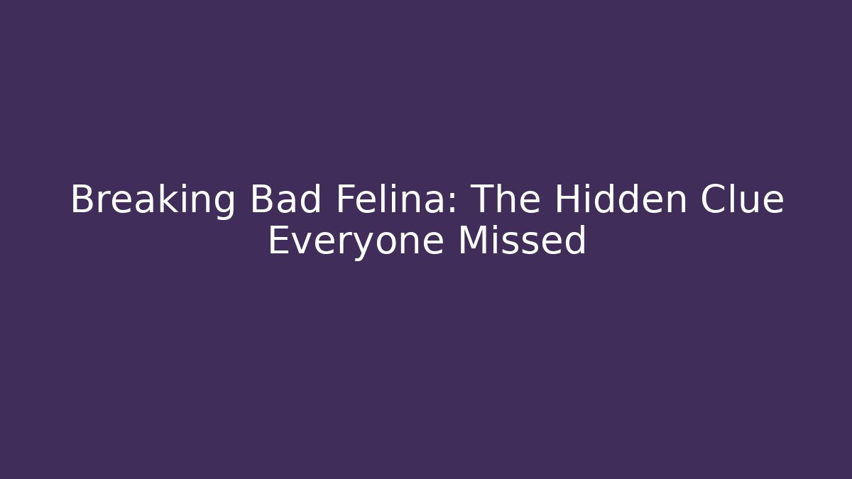 Breaking Bad Felina: The Hidden Clue Everyone Missed