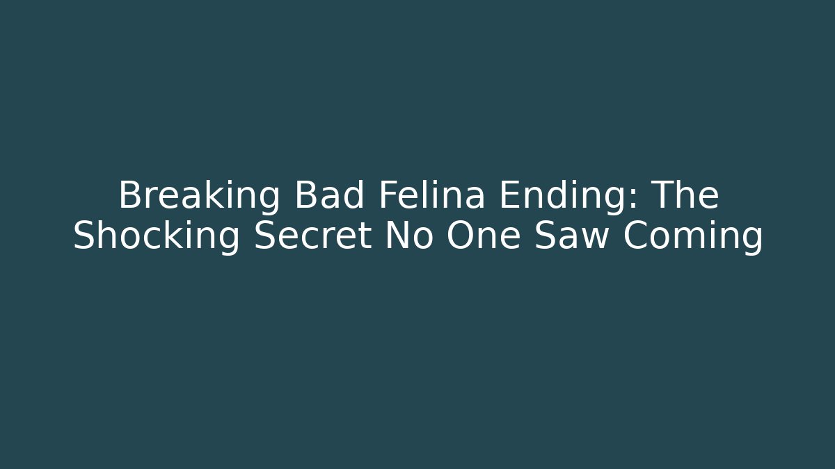 Breaking Bad Felina Ending: The Shocking Secret No One Saw Coming