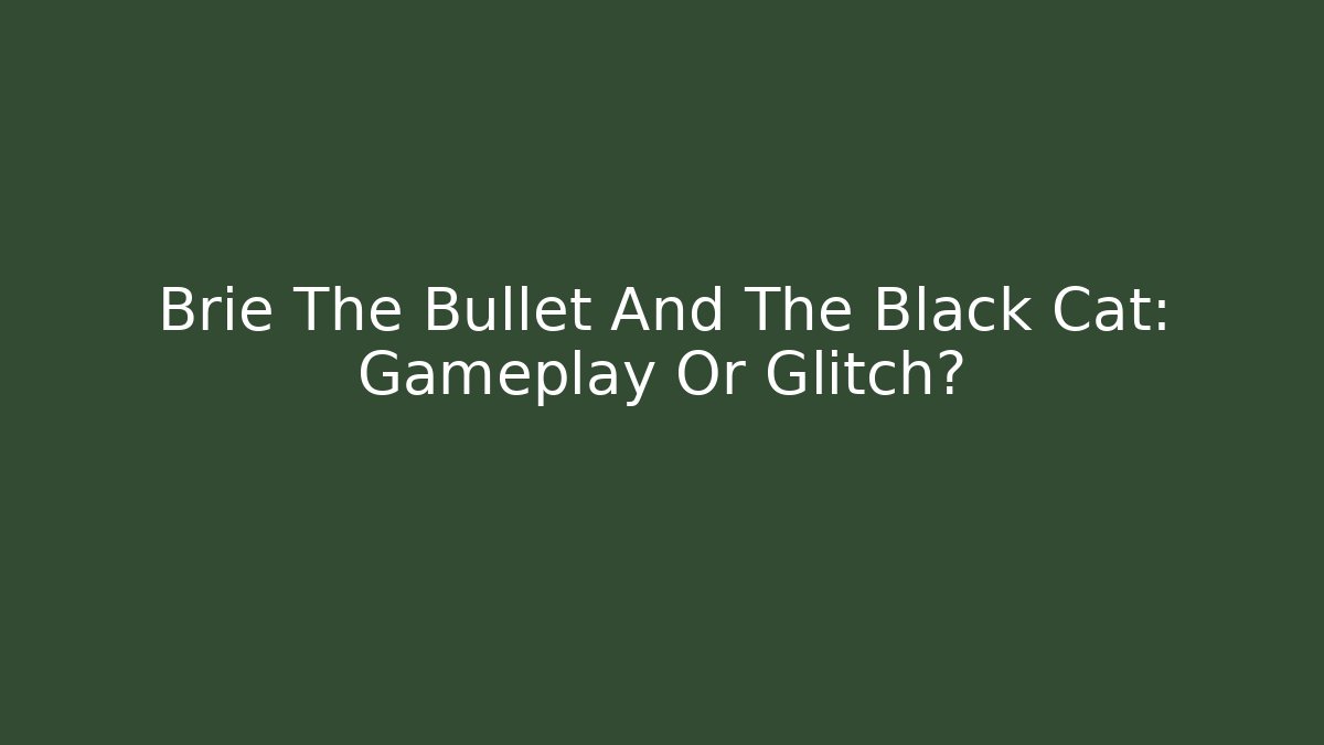 Brie The Bullet And The Black Cat: Gameplay Or Glitch?