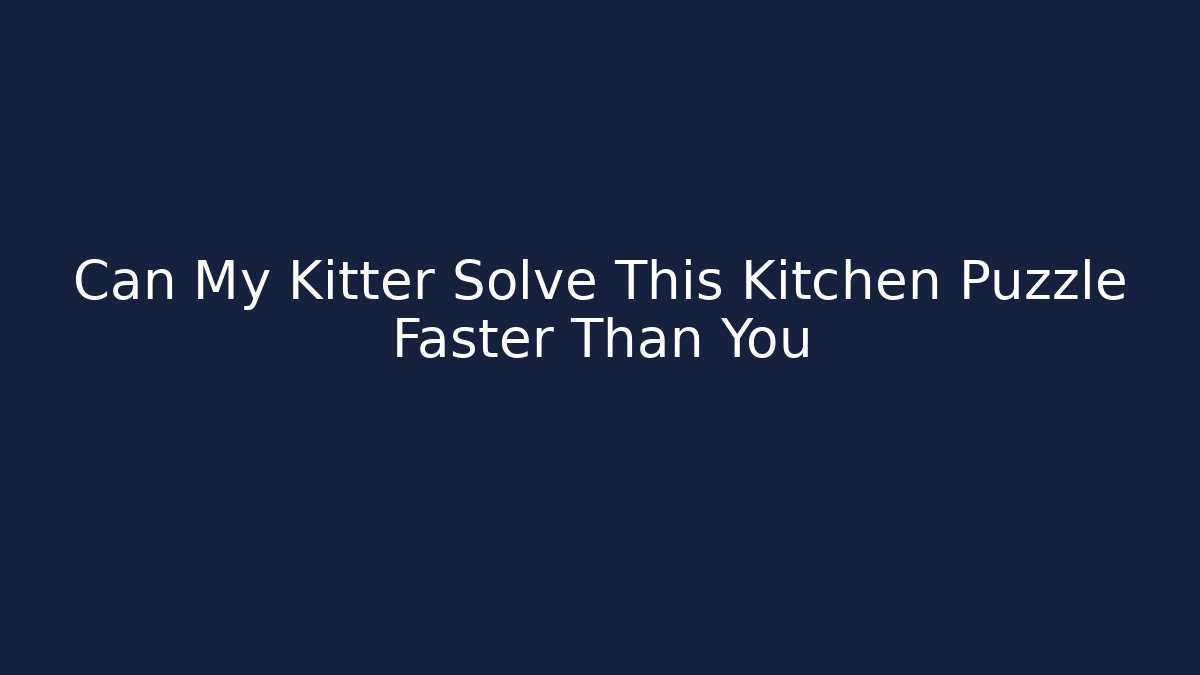 Can My Kitter Solve This Kitchen Puzzle Faster Than You