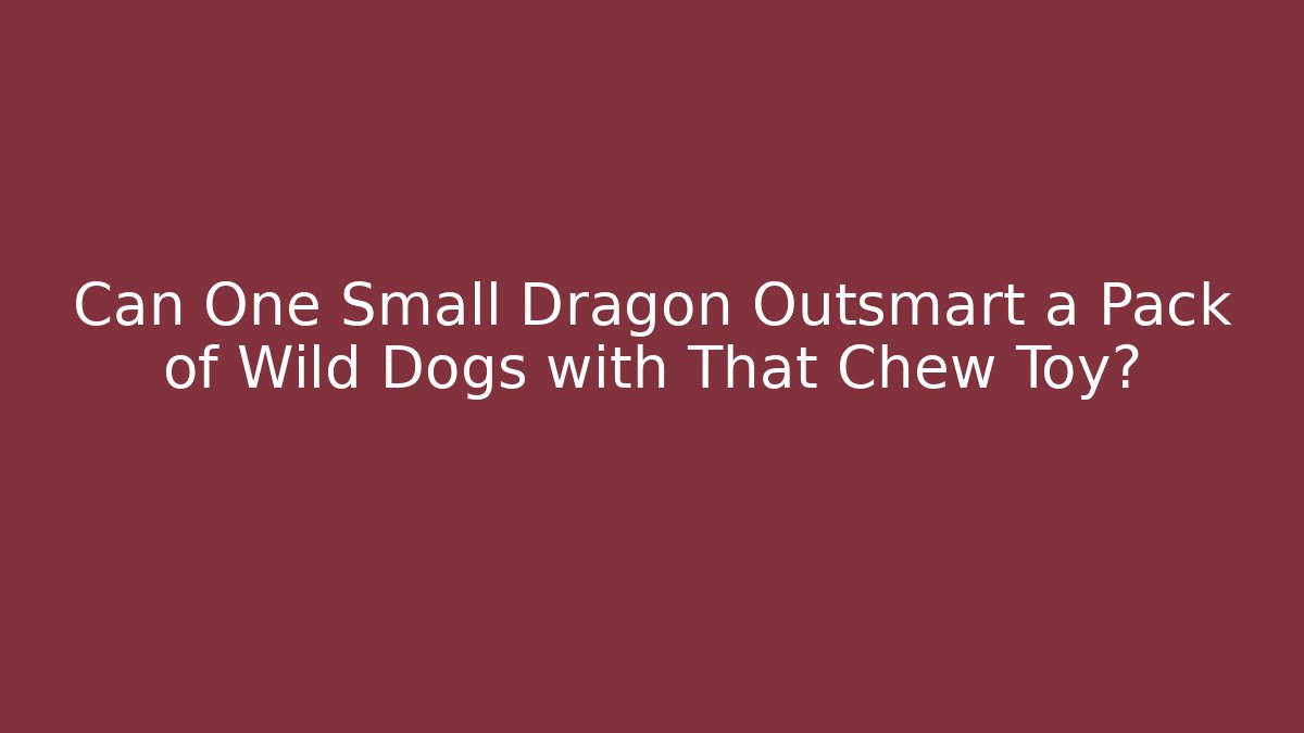 Can One Small Dragon Outsmart a Pack of Wild Dogs with That Chew Toy?