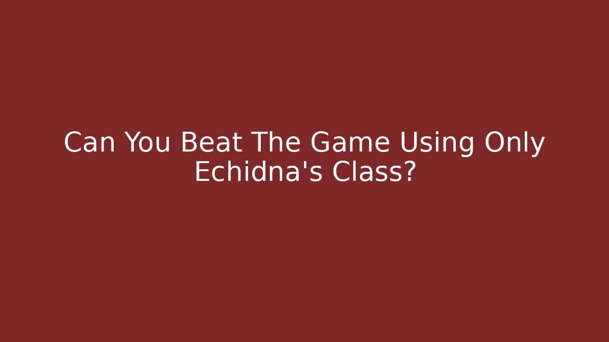Can You Beat The Game Using Only Echidna’s Class?