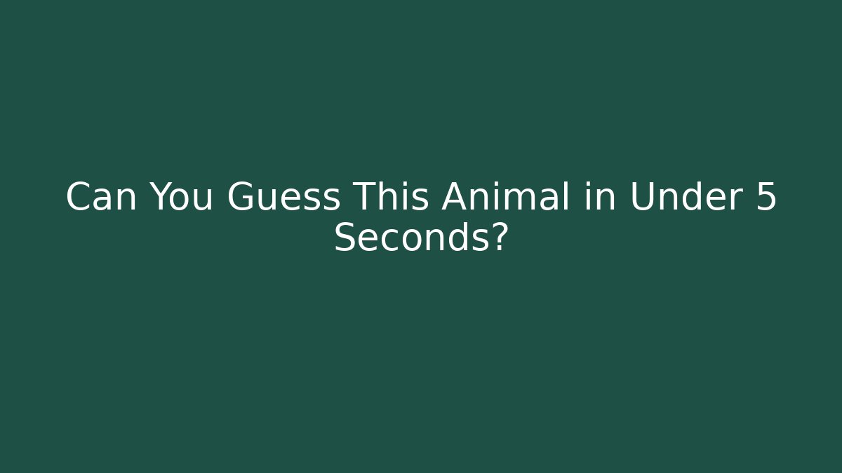 Can You Guess This Animal in Under 5 Seconds?