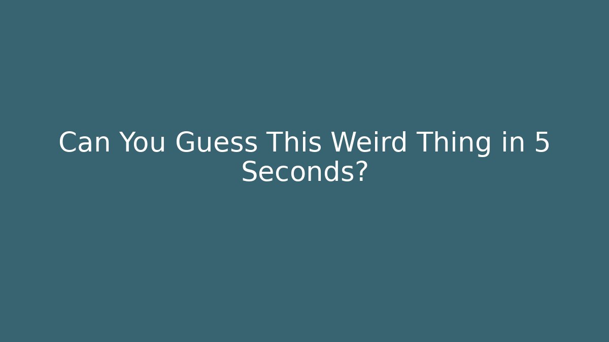 Can You Guess This Weird Thing in 5 Seconds?
