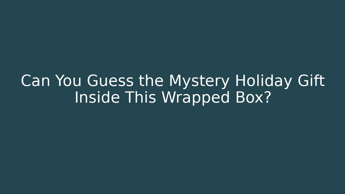 Can You Guess the Mystery Holiday Gift Inside This Wrapped Box?