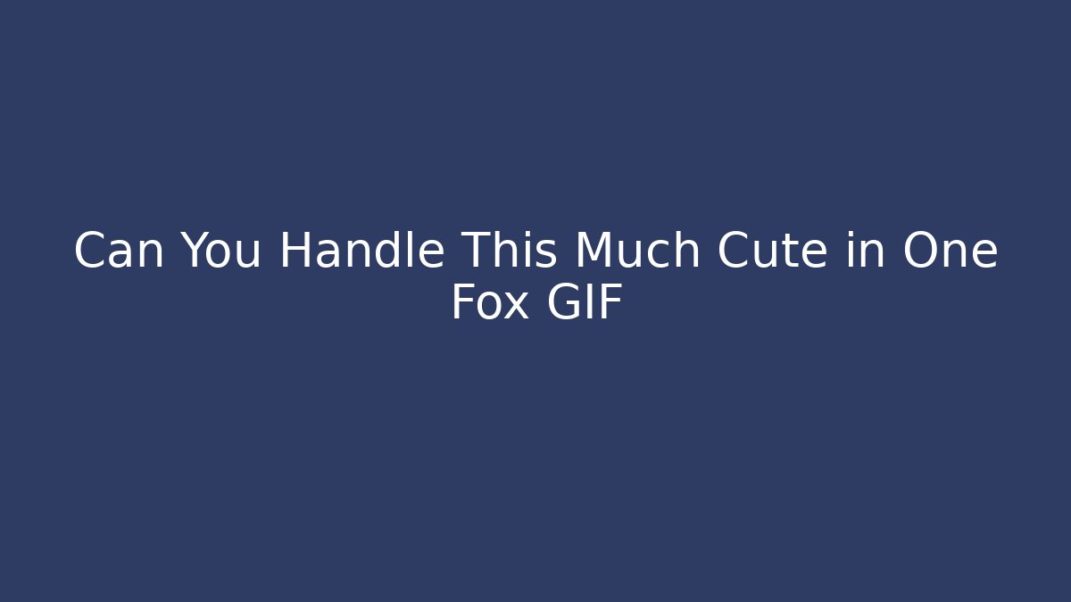 Can You Handle This Much Cute in One Fox GIF