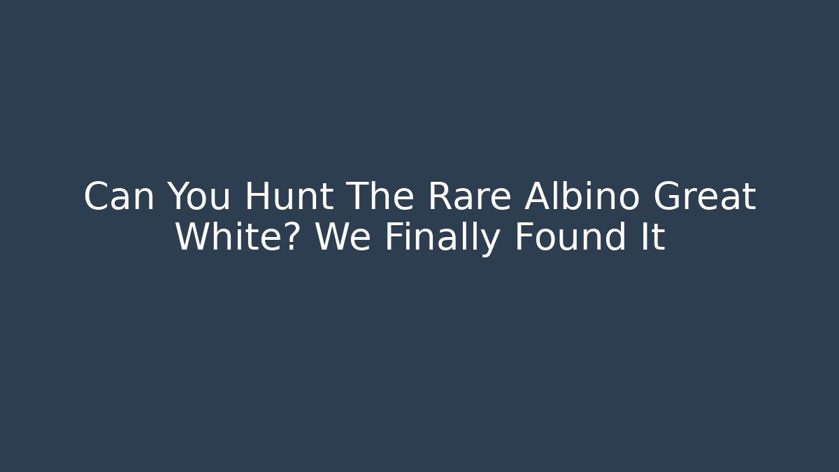 Can You Hunt The Rare Albino Great White? We Finally Found It