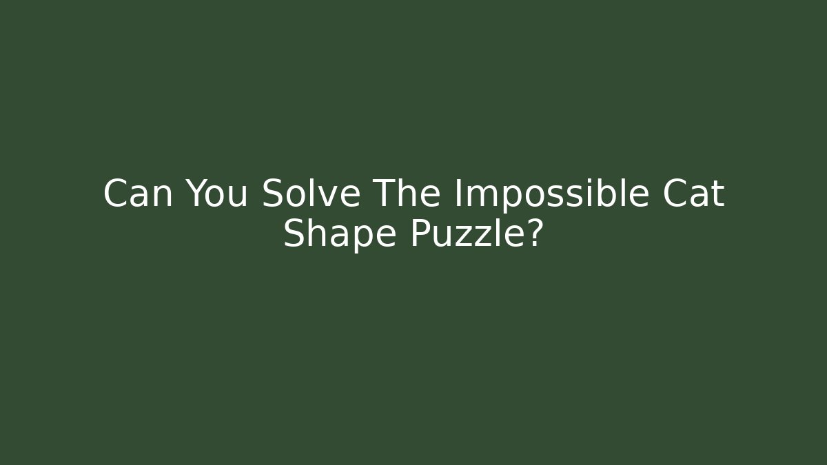 Can You Solve The Impossible Cat Shape Puzzle?