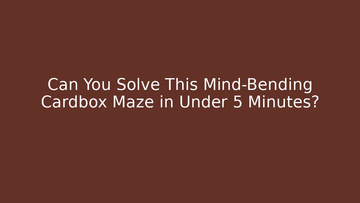 Can You Solve This Mind-Bending Cardbox Maze in Under 5 Minutes?