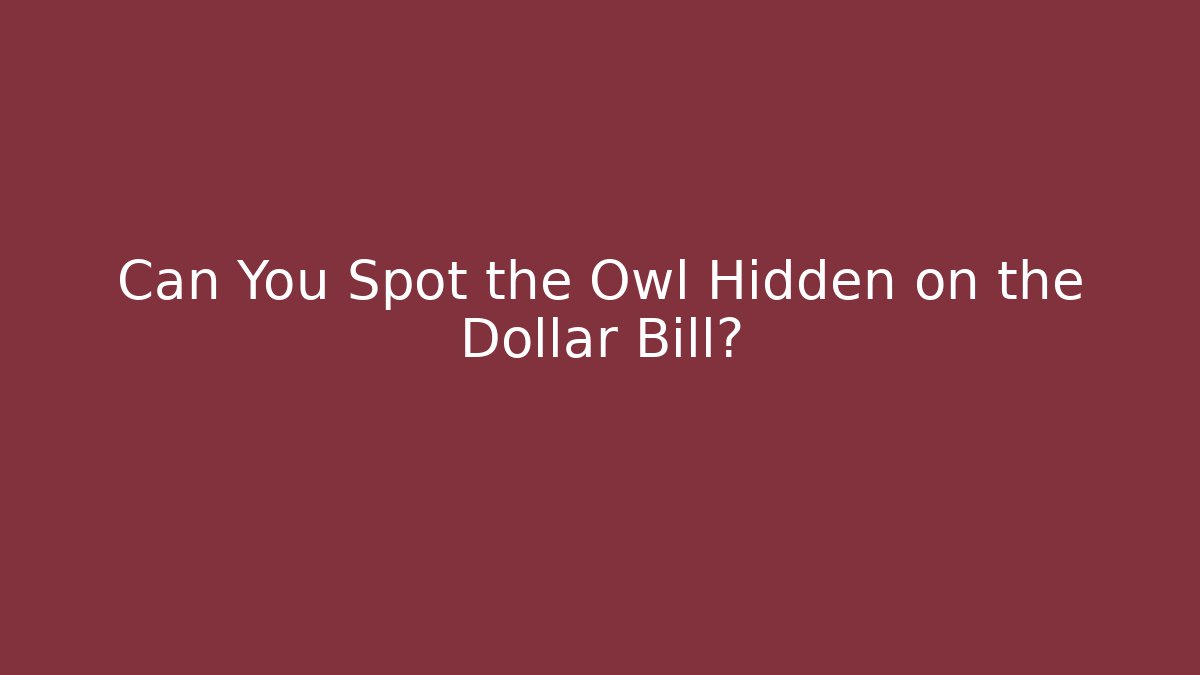 Can You Spot the Owl Hidden on the Dollar Bill?