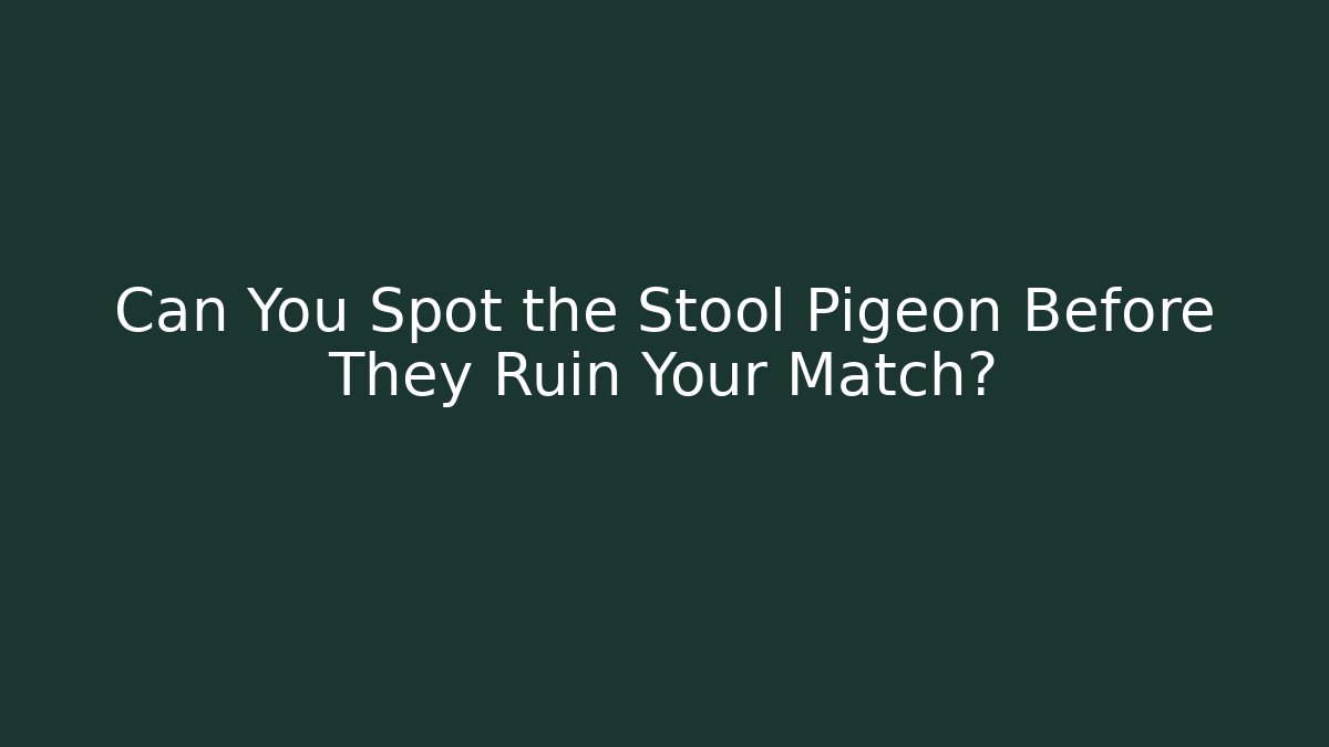 Can You Spot the Stool Pigeon Before They Ruin Your Match?