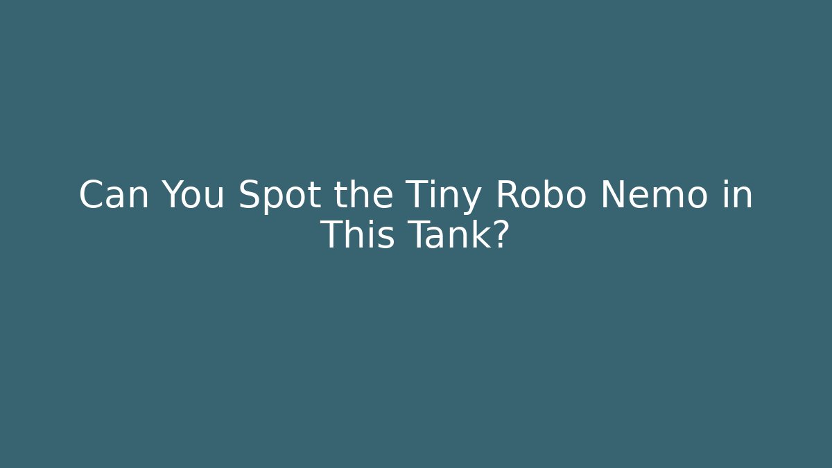 Can You Spot the Tiny Robo Nemo in This Tank?