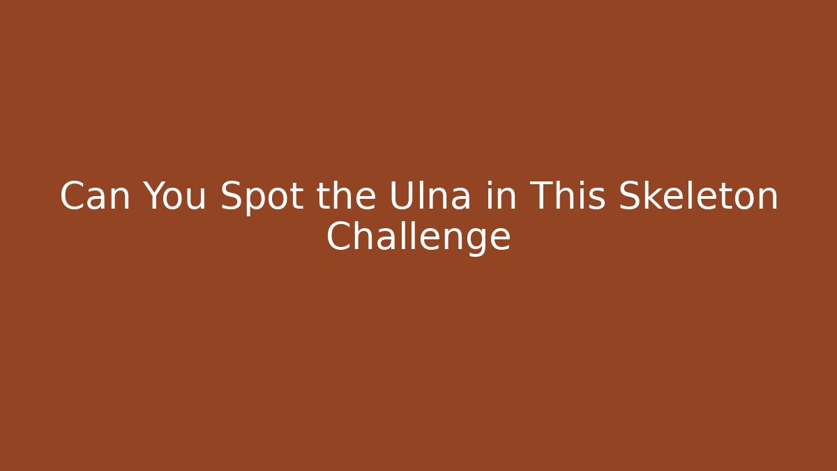 Can You Spot the Ulna in This Skeleton Challenge