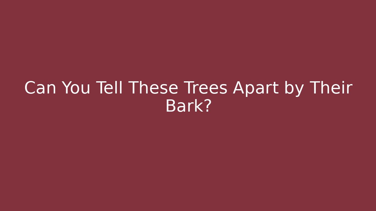 Can You Tell These Trees Apart by Their Bark?