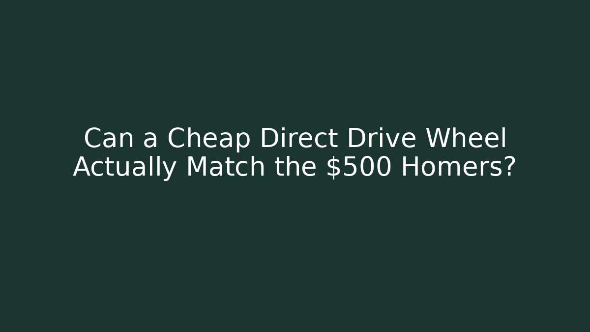 Can a Cheap Direct Drive Wheel Actually Match the $500 Homers?