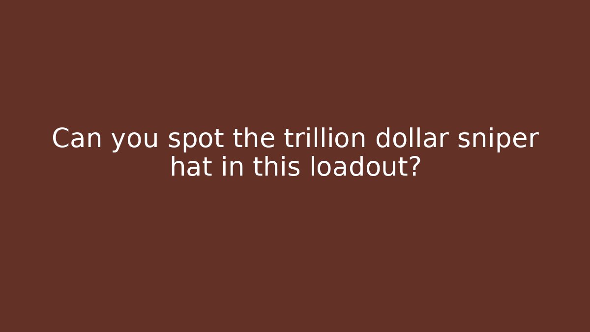 Can you spot the trillion dollar sniper hat in this loadout?
