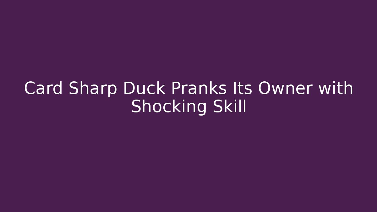 Card Sharp Duck Pranks Its Owner with Shocking Skill