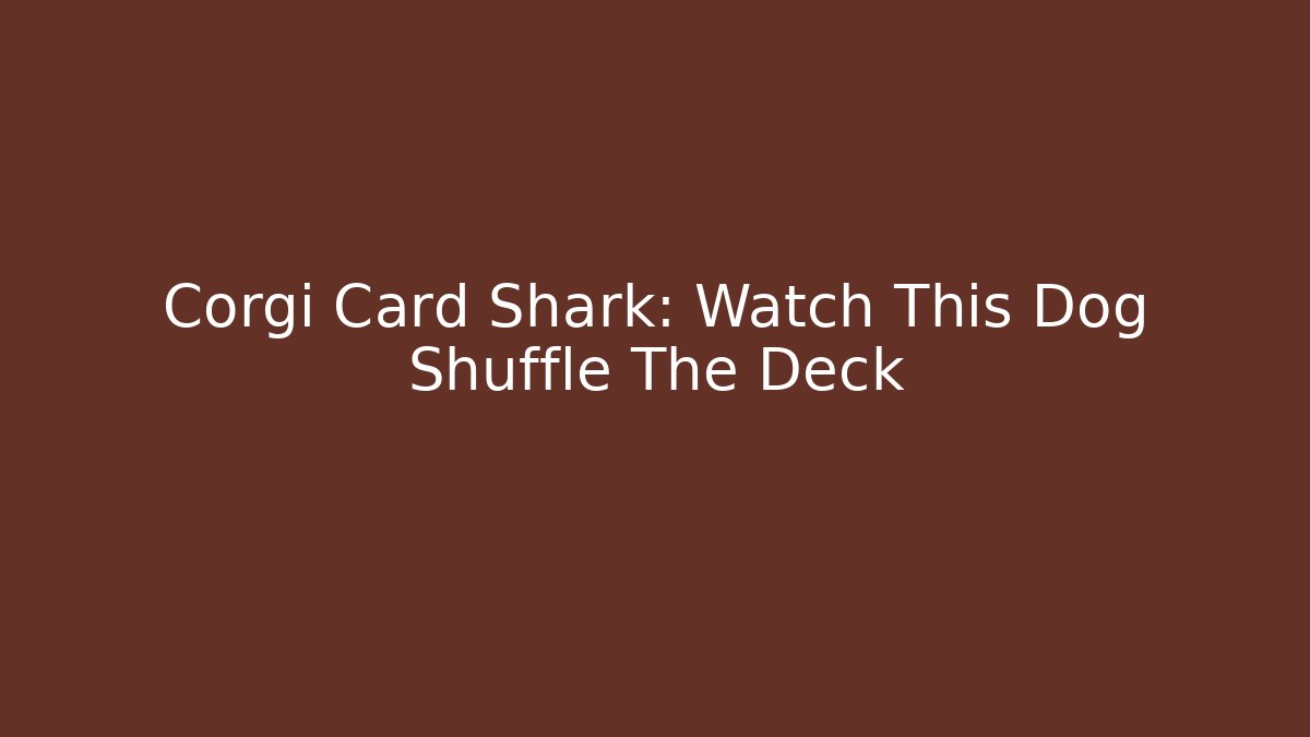 Corgi Card Shark: Watch This Dog Shuffle The Deck