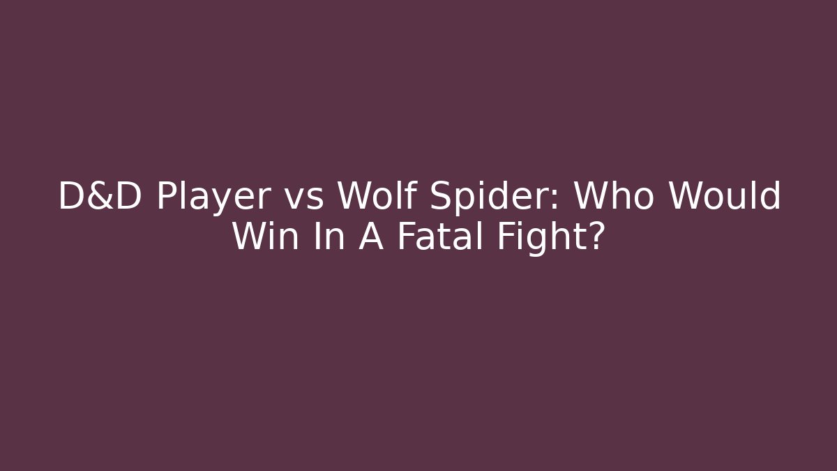 D&D Player vs Wolf Spider: Who Would Win In A Fatal Fight?