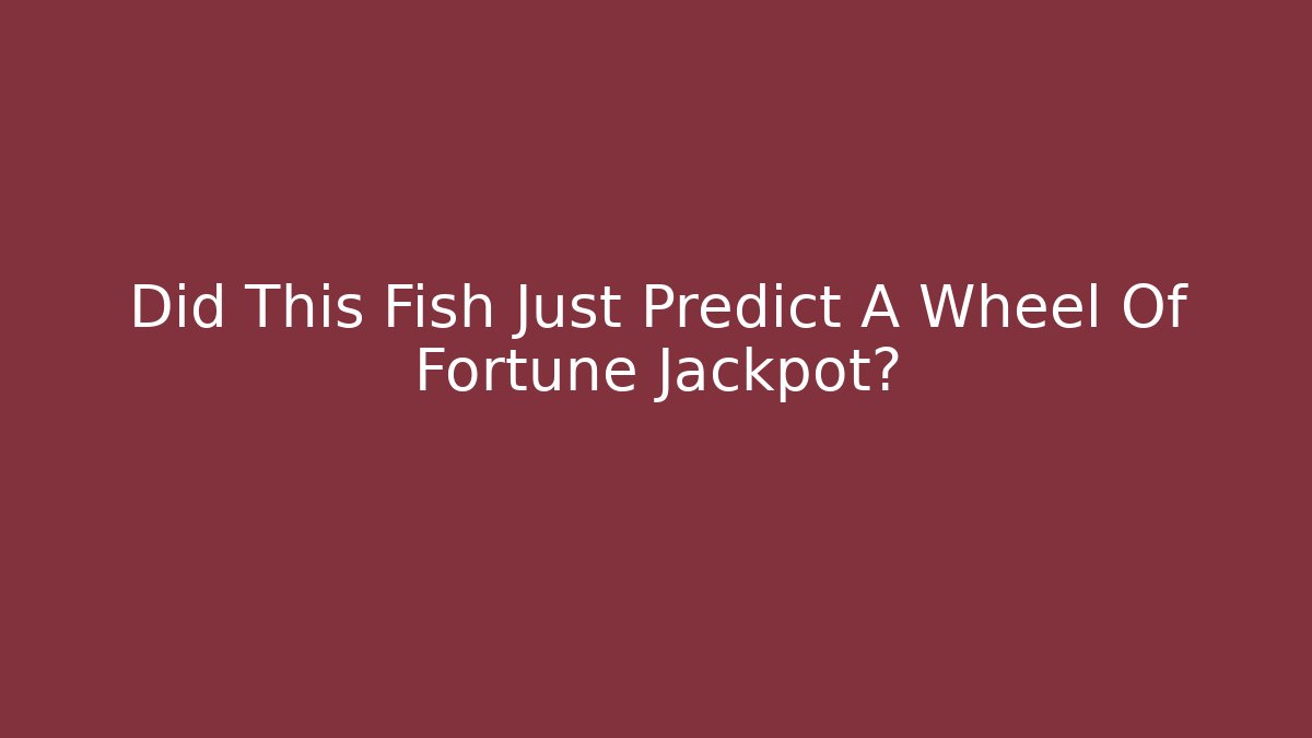 Did This Fish Just Predict A Wheel Of Fortune Jackpot?