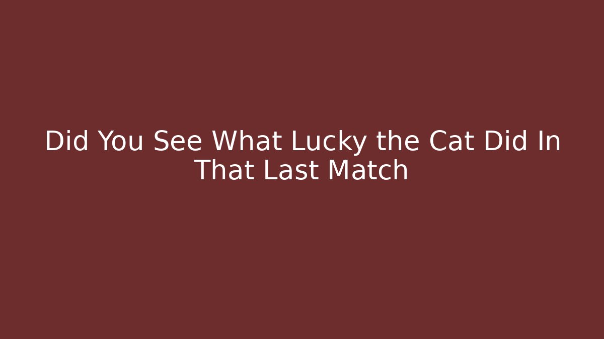 Did You See What Lucky the Cat Did In That Last Match