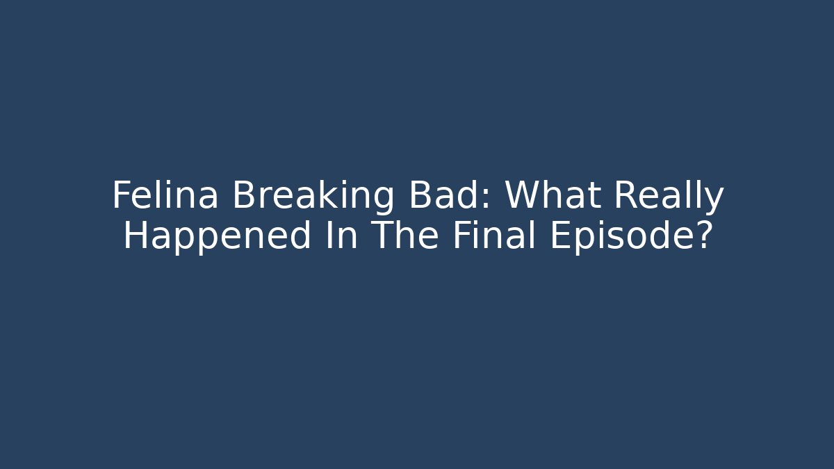 Felina Breaking Bad: What Really Happened In The Final Episode?