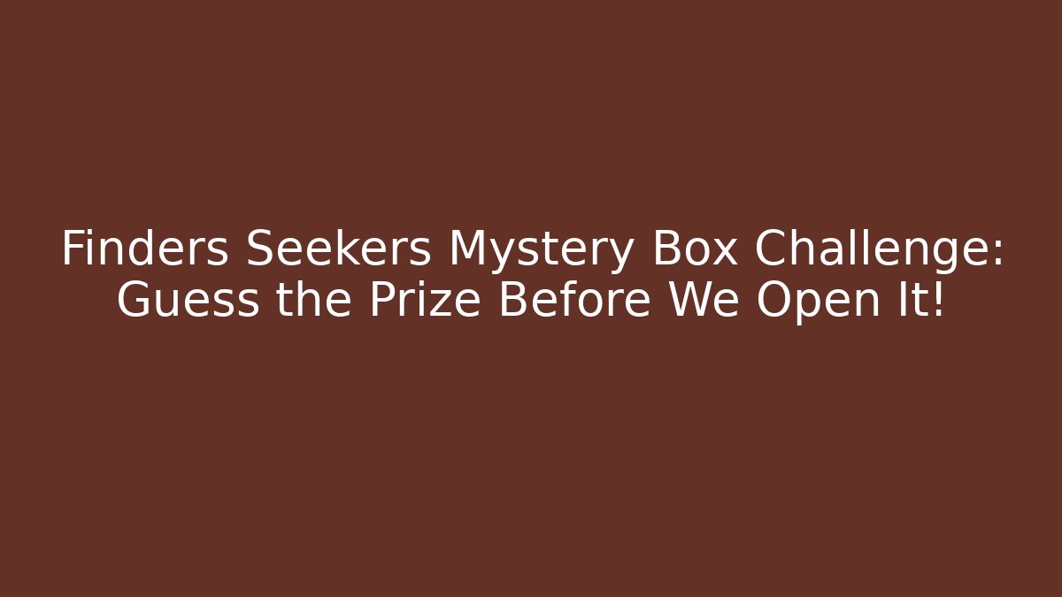 Finders Seekers Mystery Box Challenge: Guess the Prize Before We Open It!