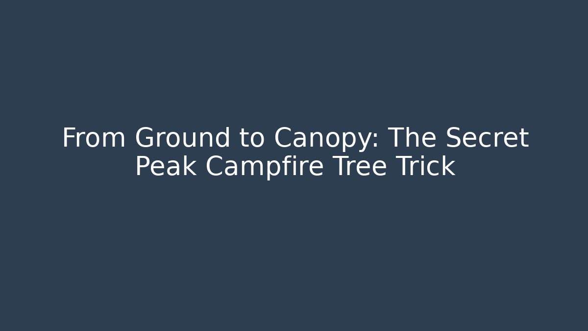 From Ground to Canopy: The Secret Peak Campfire Tree Trick