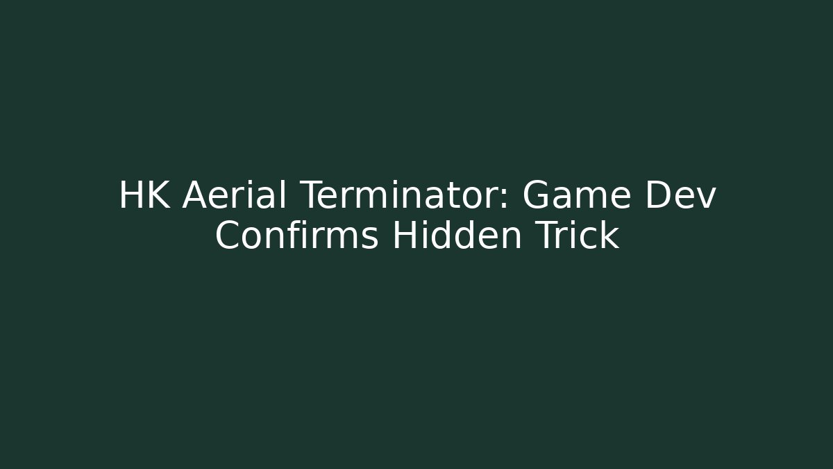 HK Aerial Terminator: Game Dev Confirms Hidden Trick