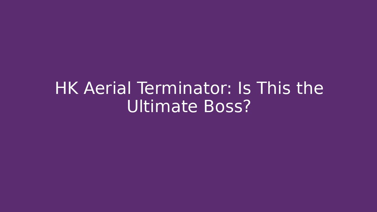 HK Aerial Terminator: Is This the Ultimate Boss?