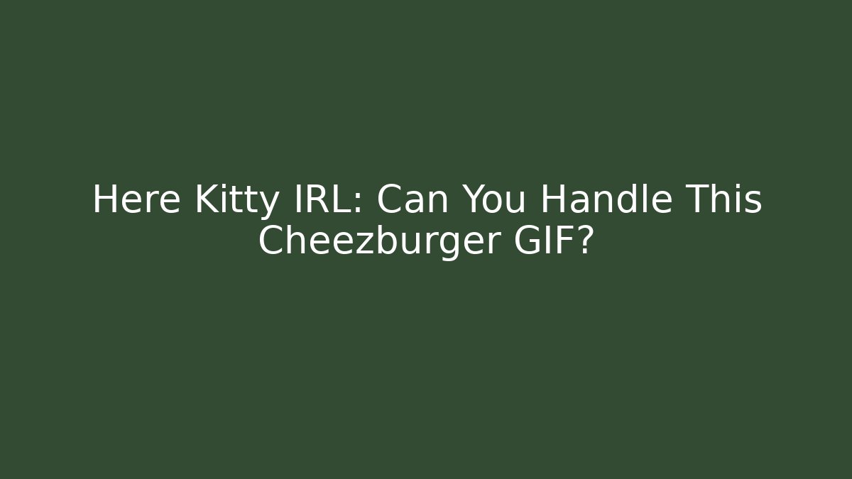 Here Kitty IRL: Can You Handle This Cheezburger GIF?