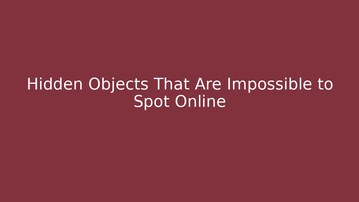 Hidden Objects That Are Impossible to Spot Online