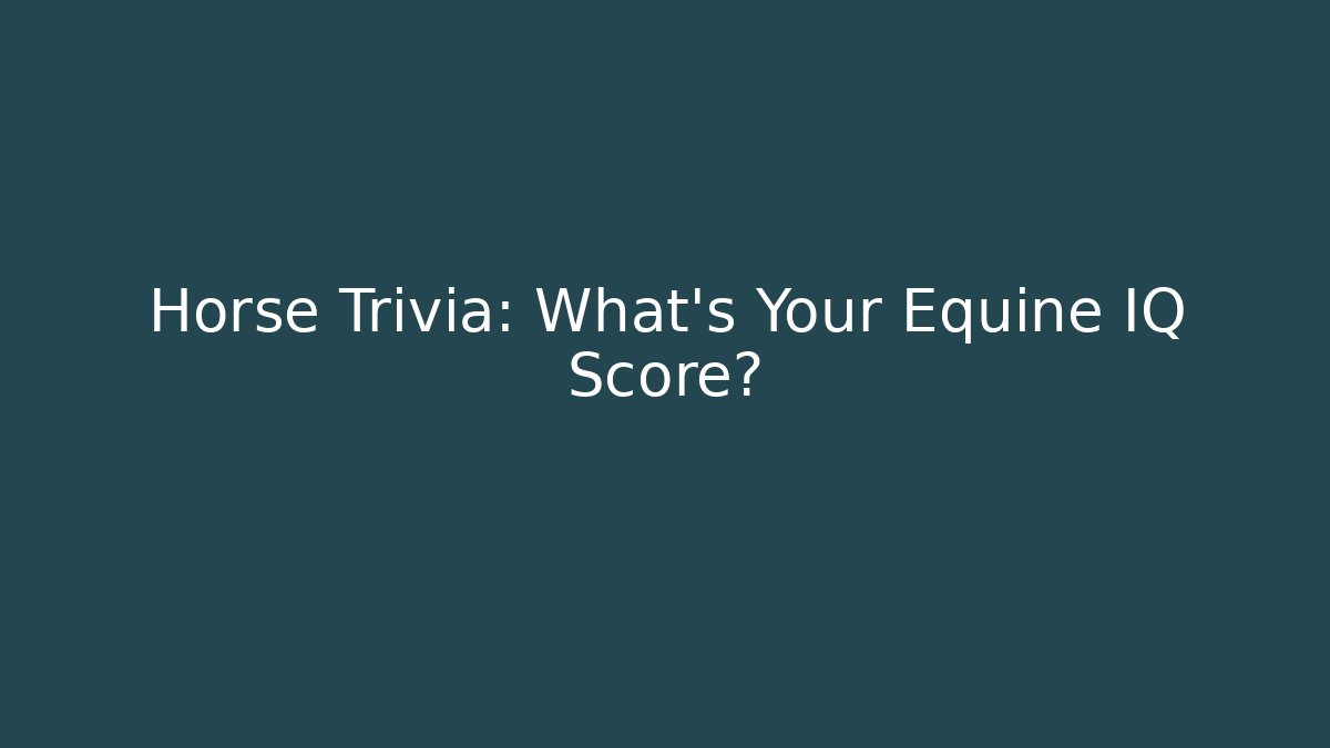 Horse Trivia: What's Your Equine IQ Score?