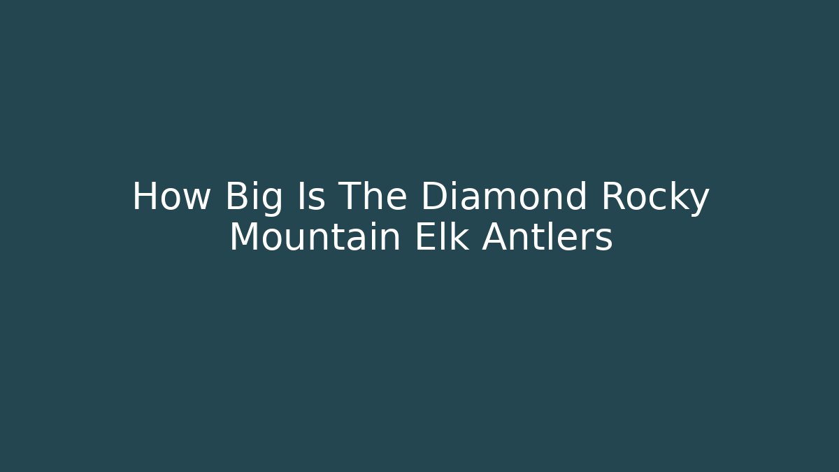 How Big Is The Diamond Rocky Mountain Elk Antlers