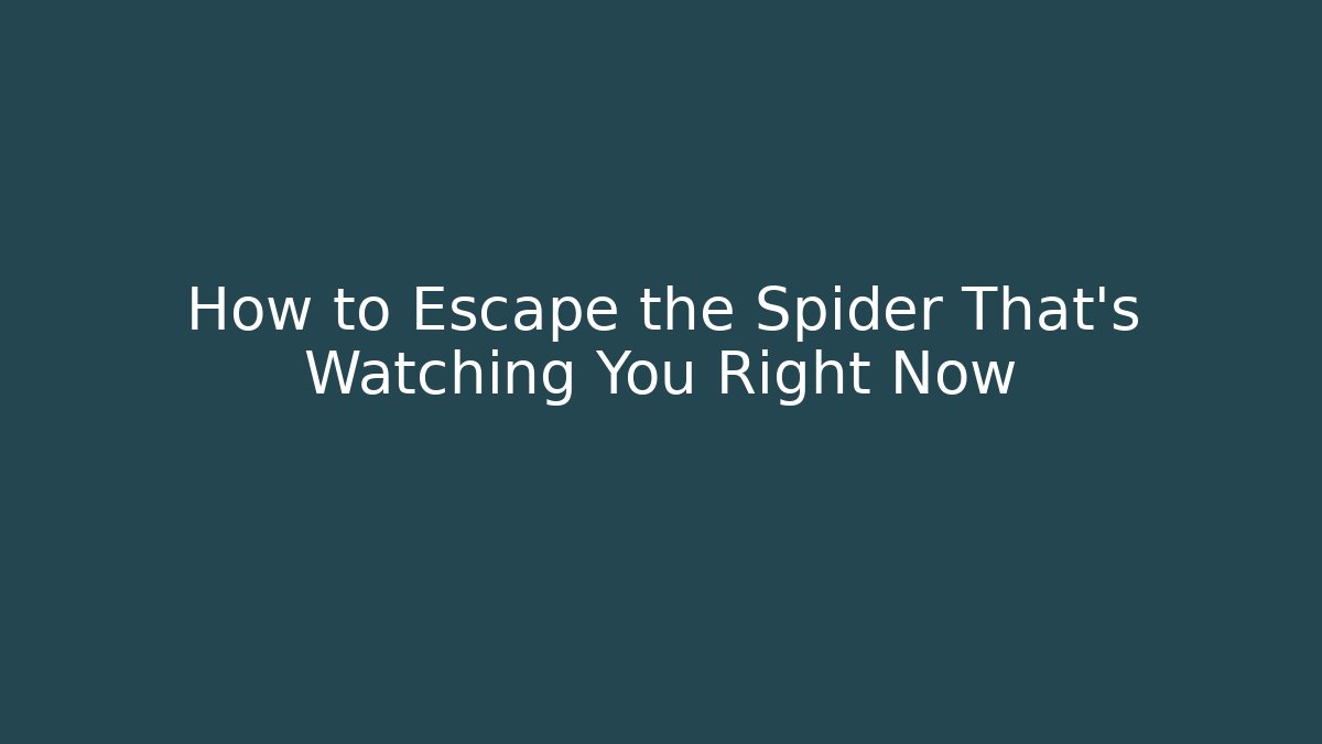 How to Escape the Spider That's Watching You Right Now