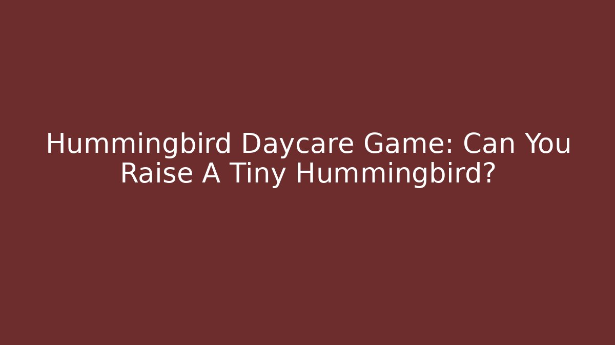 Hummingbird Daycare Game: Can You Raise A Tiny Hummingbird?