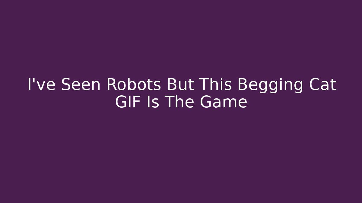 I've Seen Robots But This Begging Cat GIF Is The Game