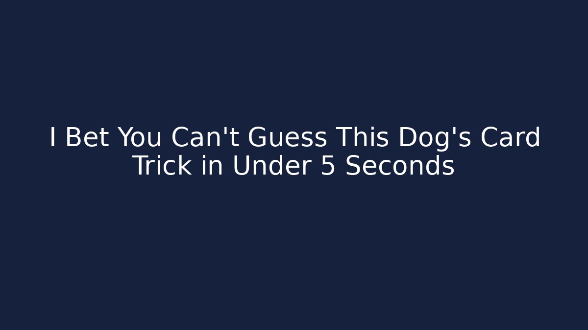 I Bet You Can't Guess This Dog's Card Trick in Under 5 Seconds