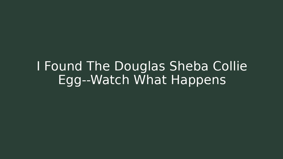 I Found The Douglas Sheba Collie Egg—Watch What Happens