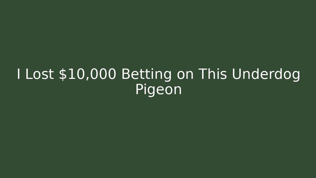 I Lost $10,000 Betting on This Underdog Pigeon - Método de Aprovação