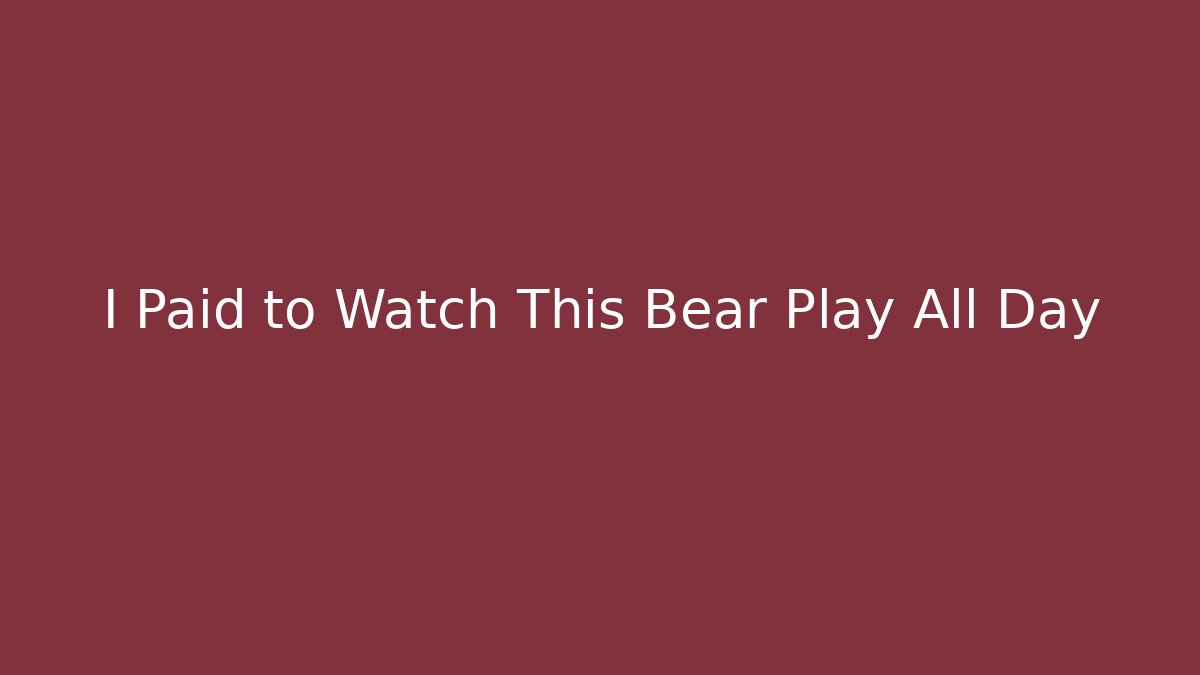 I Paid to Watch This Bear Play All Day