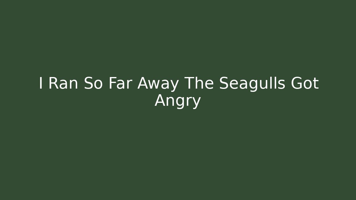 I Ran So Far Away The Seagulls Got Angry