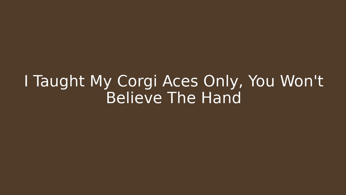 I Taught My Corgi Aces Only, You Won't Believe The Hand
