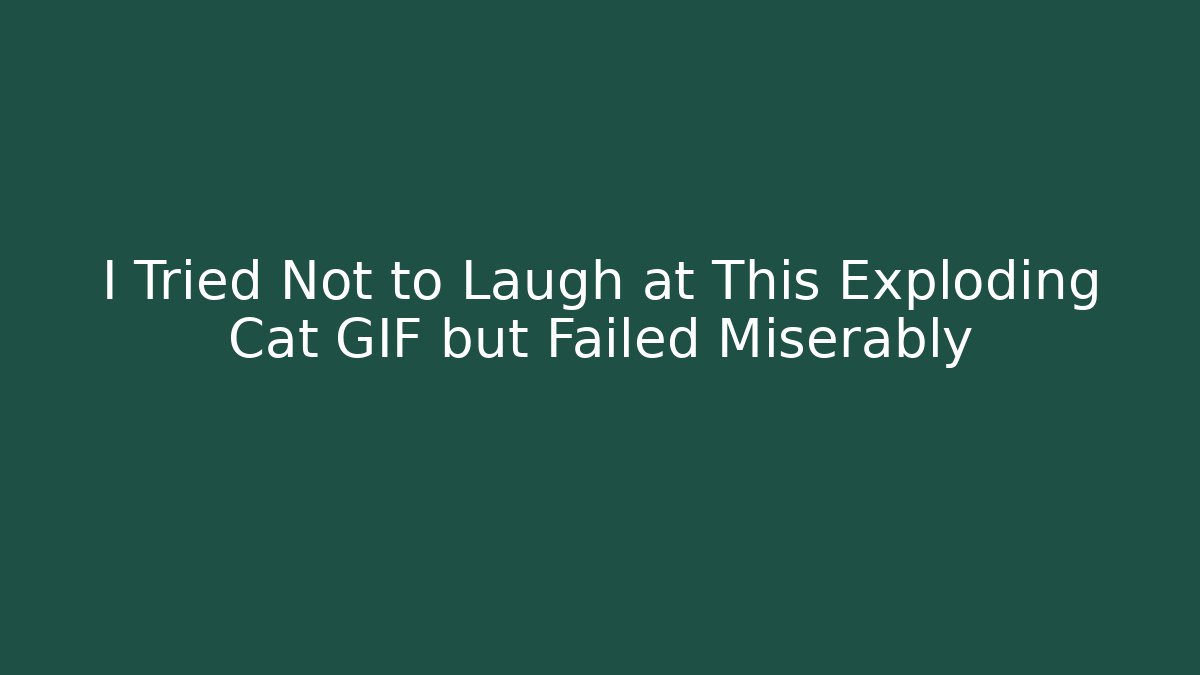 I Tried Not to Laugh at This Exploding Cat GIF but Failed Miserably - Método de Aprovação