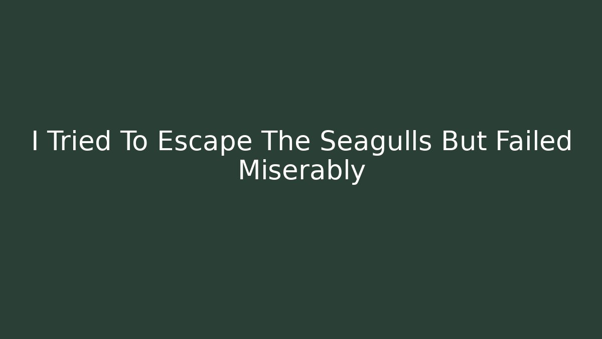 I Tried To Escape The Seagulls But Failed Miserably